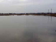 Гамаліївка з panoramio.com