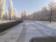 Каштанове з panoramio.com