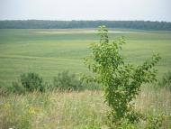 Бережне - Останні фото