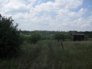 Українське - Останні фото