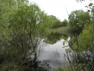 Киселівка з panoramio.com