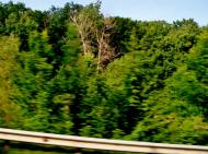 Лук'янівка з panoramio.com