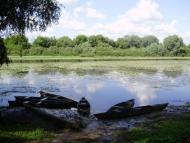 Остроушки з panoramio.com