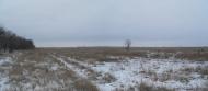 Піщанка з panoramio.com - Песчанка