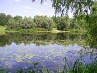 Остроушки з panoramio.com