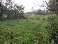 Ямниця з panoramio.com