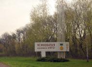 Каштанове з panoramio.com