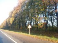 Косанове з panoramio.com