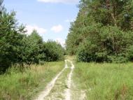 Остроушки з panoramio.com