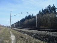 Радівці з panoramio.com