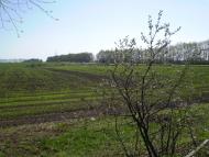 Клітчин - Останні фото