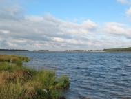 Дернаки з panoramio.com