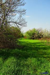 Нова Павлівка з panoramio.com