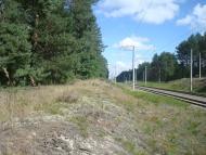 Купине з panoramio.com