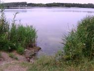 Барвінкове з panoramio.com