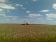 Любопіль з panoramio.com