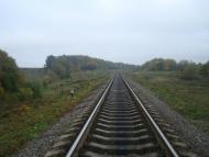 Буйволівці з panoramio.com