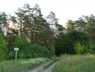 Знаменівка з panoramio.com - Znamenivka