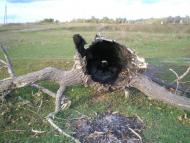 Ганнівка з panoramio.com