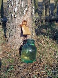 Вільхова з panoramio.com