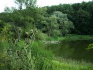 Руські Тишки з panoramio.com