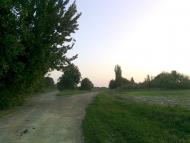 Андрушівка з panoramio.com