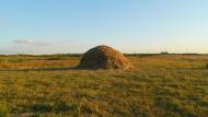 Меліоративне з panoramio.com - Мелиоративное