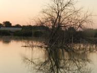 Великі Копані з panoramio.com