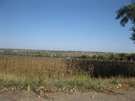 Гаврилівка з panoramio.com