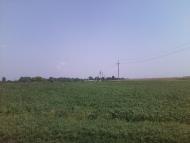 Степанівка з panoramio.com