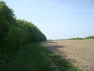 Маціорськ з panoramio.com