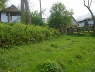 Хоменки з panoramio.com