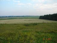 Чагарі-Збаразькі з panoramio.com