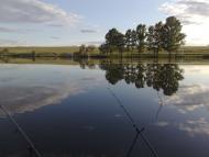 Верхньошевирівка з panoramio.com