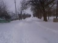 Стрепетове - Останні фото