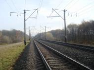 Рідкодуби з panoramio.com