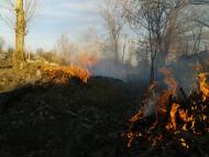 Данилівка з panoramio.com
