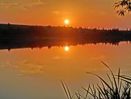 Димитрове з panoramio.com