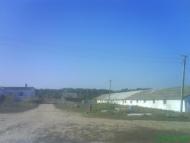 Мар'ївка з panoramio.com