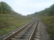 Буйволівці з panoramio.com