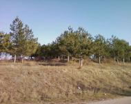 Донське з panoramio.com