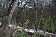 Пелагіївка з panoramio.com