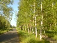 Лабурівка з panoramio.com