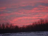 Зайцівка - Останні фото