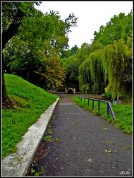 Олександрія з panoramio.com