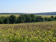 Онопріївка з panoramio.com