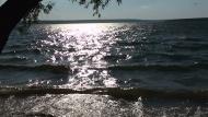 Новокомсомольське з panoramio.com