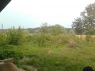 Копанки з panoramio.com