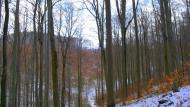 Ворочово з panoramio.com - Ворочево