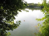 Вільхове з panoramio.com